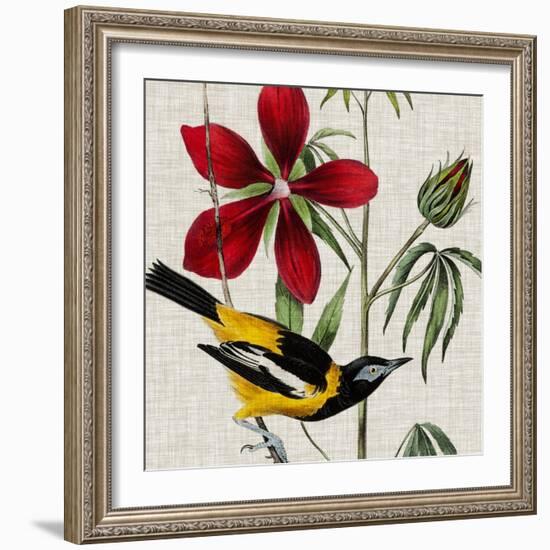 Avian Crop I-John James Audubon-Framed Art Print