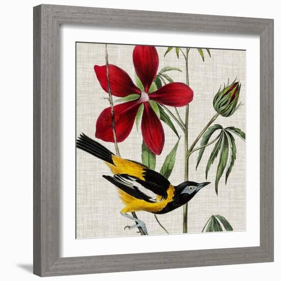 Avian Crop I-John James Audubon-Framed Art Print