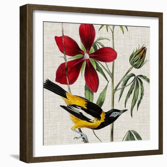 Avian Crop I-John James Audubon-Framed Art Print