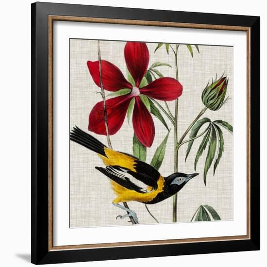 Avian Crop I-John James Audubon-Framed Art Print