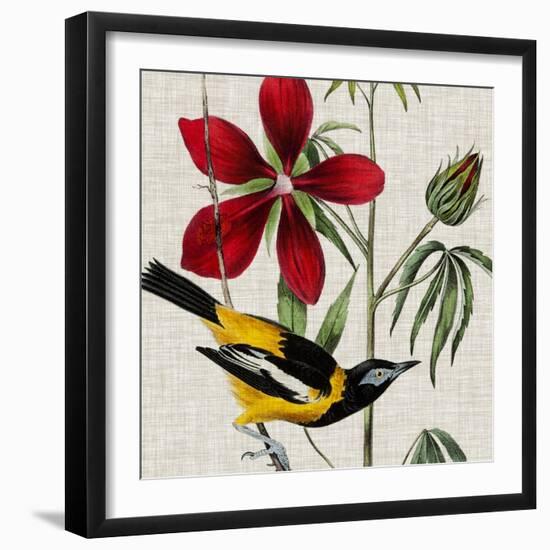 Avian Crop I-John James Audubon-Framed Art Print