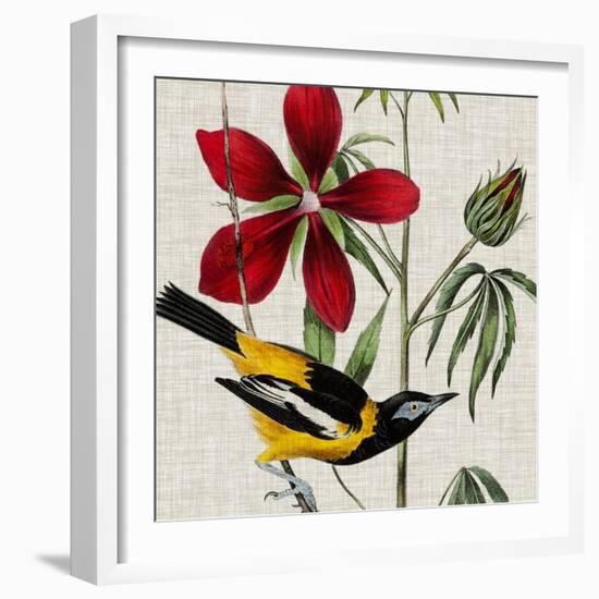 Avian Crop I-John James Audubon-Framed Art Print