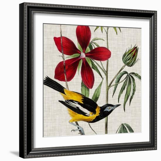 Avian Crop I-John James Audubon-Framed Art Print