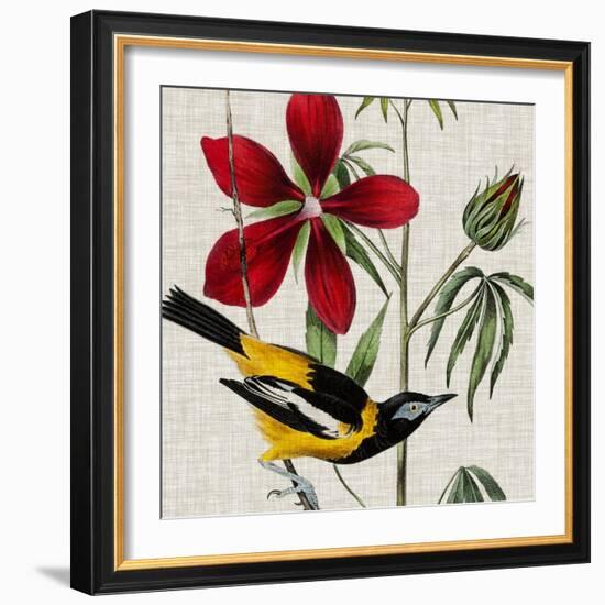 Avian Crop I-John James Audubon-Framed Art Print