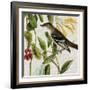 Avian Crop II-John James Audubon-Framed Giclee Print