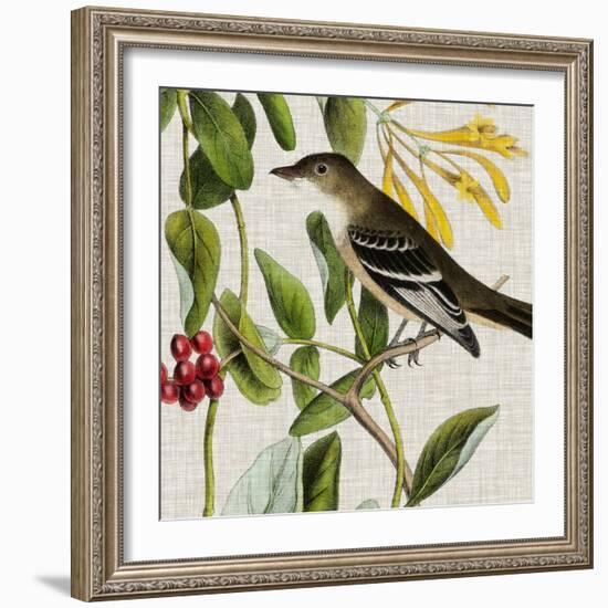 Avian Crop II-John James Audubon-Framed Art Print