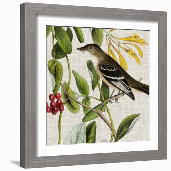 Avian Crop II-John James Audubon-Framed Art Print