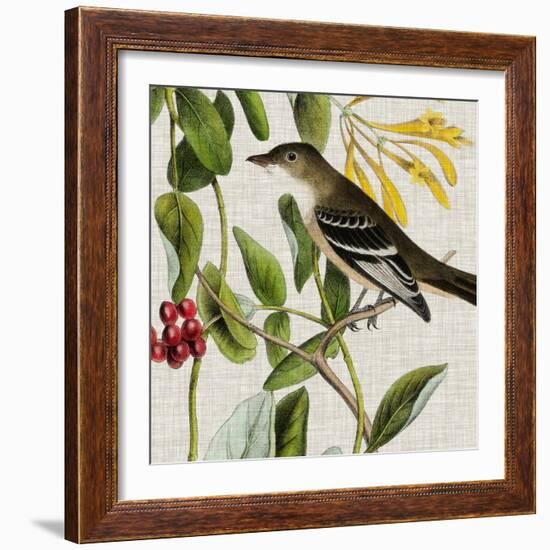 Avian Crop II-John James Audubon-Framed Art Print