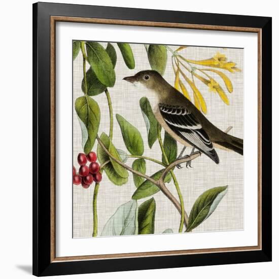 Avian Crop II-John James Audubon-Framed Art Print