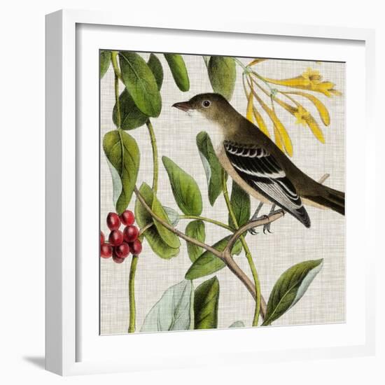 Avian Crop II-John James Audubon-Framed Art Print