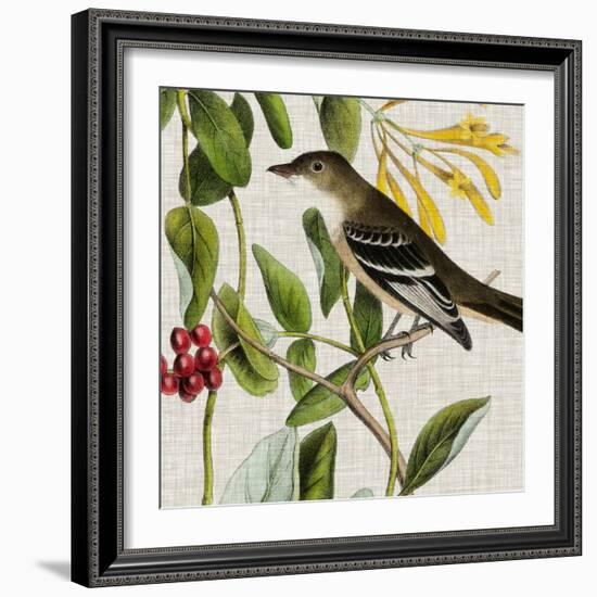 Avian Crop II-John James Audubon-Framed Art Print