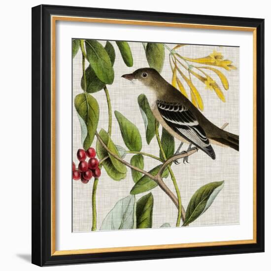 Avian Crop II-John James Audubon-Framed Art Print