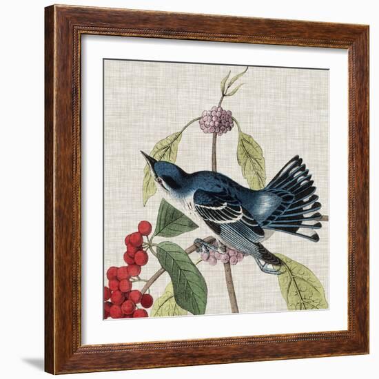 Avian Crop III-John James Audubon-Framed Art Print