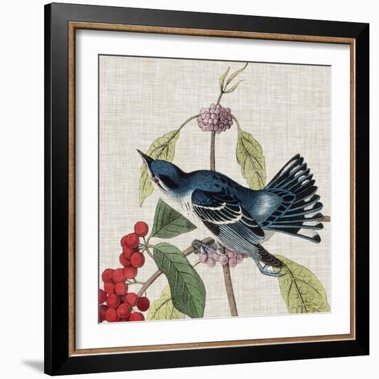 Avian Crop III-John James Audubon-Framed Art Print