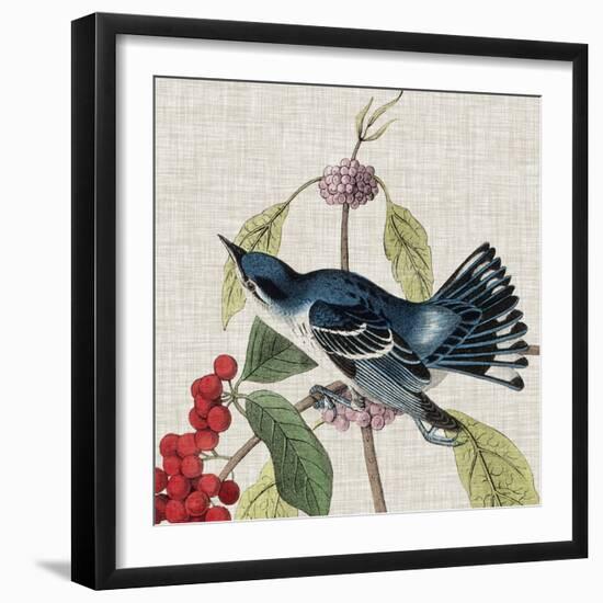 Avian Crop III-John James Audubon-Framed Art Print