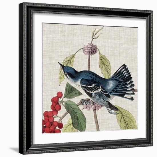 Avian Crop III-John James Audubon-Framed Art Print