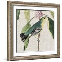 Avian Crop IV-John James Audubon-Framed Giclee Print