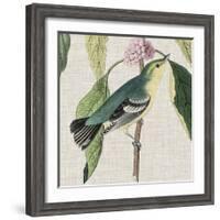 Avian Crop IV-John James Audubon-Framed Giclee Print