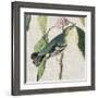 Avian Crop IV-John James Audubon-Framed Giclee Print