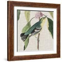 Avian Crop IV-John James Audubon-Framed Giclee Print