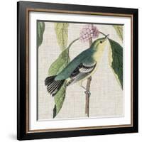 Avian Crop IV-John James Audubon-Framed Giclee Print
