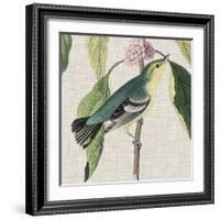 Avian Crop IV-John James Audubon-Framed Giclee Print