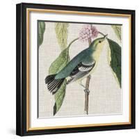 Avian Crop IV-John James Audubon-Framed Giclee Print