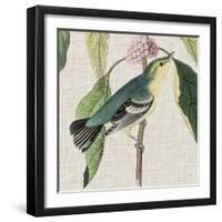 Avian Crop IV-John James Audubon-Framed Giclee Print