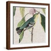 Avian Crop IV-John James Audubon-Framed Giclee Print