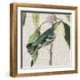Avian Crop IV-John James Audubon-Framed Giclee Print