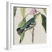 Avian Crop IV-John James Audubon-Framed Giclee Print