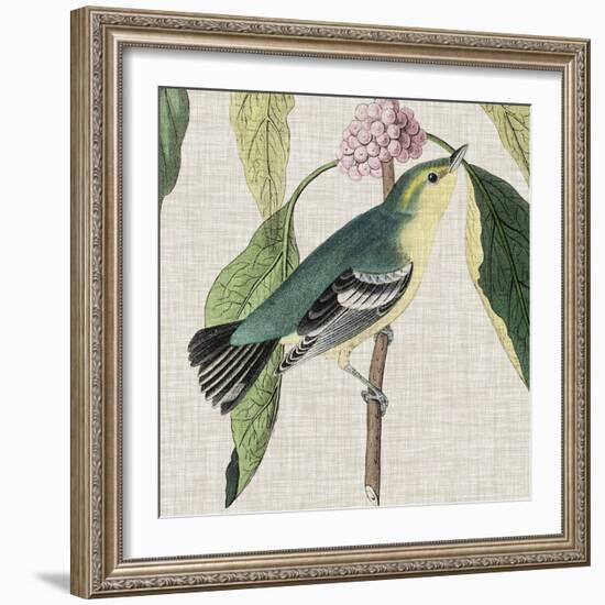 Avian Crop IV-John James Audubon-Framed Art Print