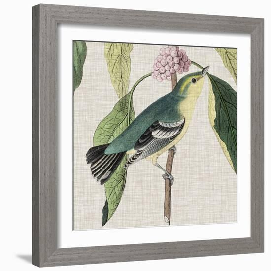 Avian Crop IV-John James Audubon-Framed Art Print