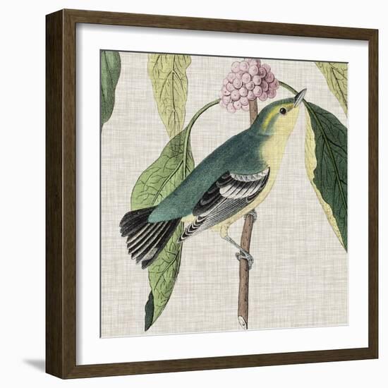 Avian Crop IV-John James Audubon-Framed Art Print