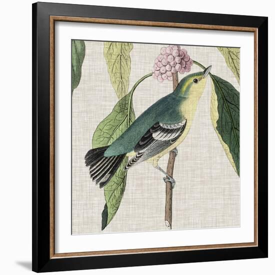 Avian Crop IV-John James Audubon-Framed Art Print