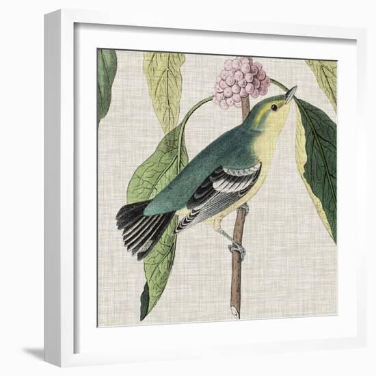 Avian Crop IV-John James Audubon-Framed Art Print