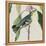 Avian Crop IV-John James Audubon-Framed Stretched Canvas