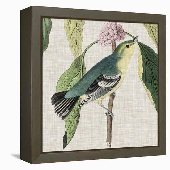 Avian Crop IV-John James Audubon-Framed Stretched Canvas