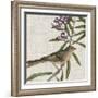 Avian Crop IX-John James Audubon-Framed Giclee Print