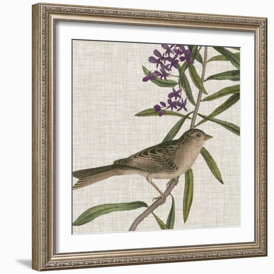 Avian Crop IX-John James Audubon-Framed Art Print