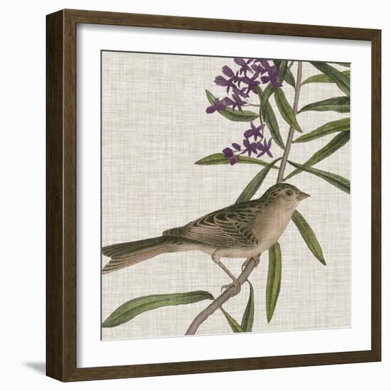 Avian Crop IX-John James Audubon-Framed Art Print