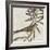 Avian Crop IX-John James Audubon-Framed Art Print