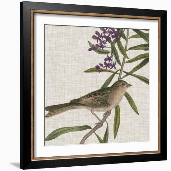 Avian Crop IX-John James Audubon-Framed Art Print