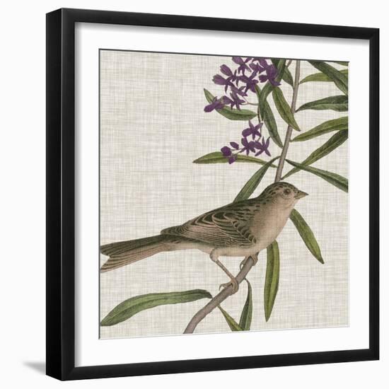 Avian Crop IX-John James Audubon-Framed Art Print