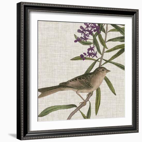 Avian Crop IX-John James Audubon-Framed Art Print