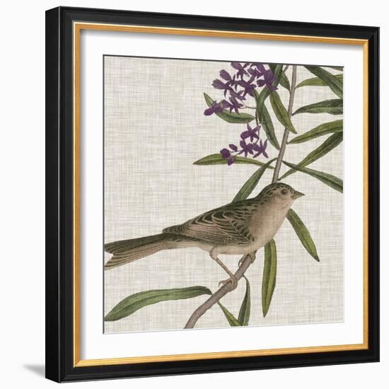 Avian Crop IX-John James Audubon-Framed Art Print