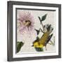 Avian Crop V-John James Audubon-Framed Giclee Print