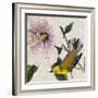 Avian Crop V-John James Audubon-Framed Giclee Print