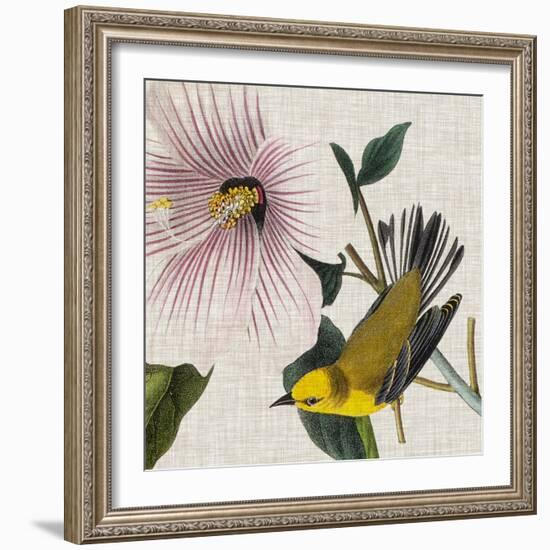 Avian Crop V-John James Audubon-Framed Art Print