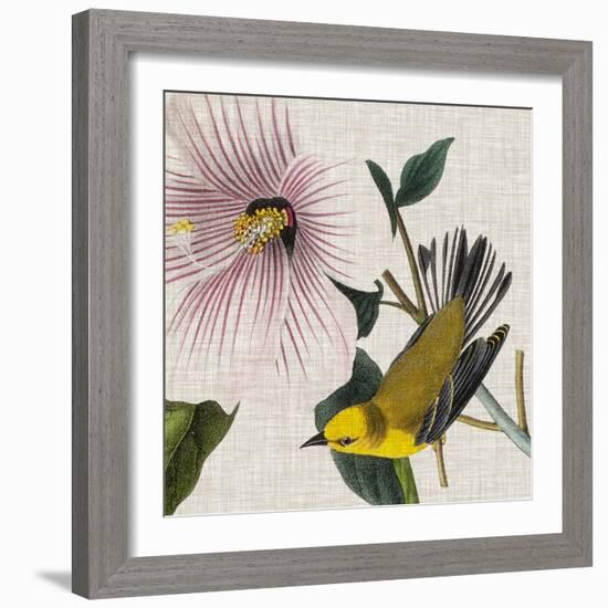 Avian Crop V-John James Audubon-Framed Art Print